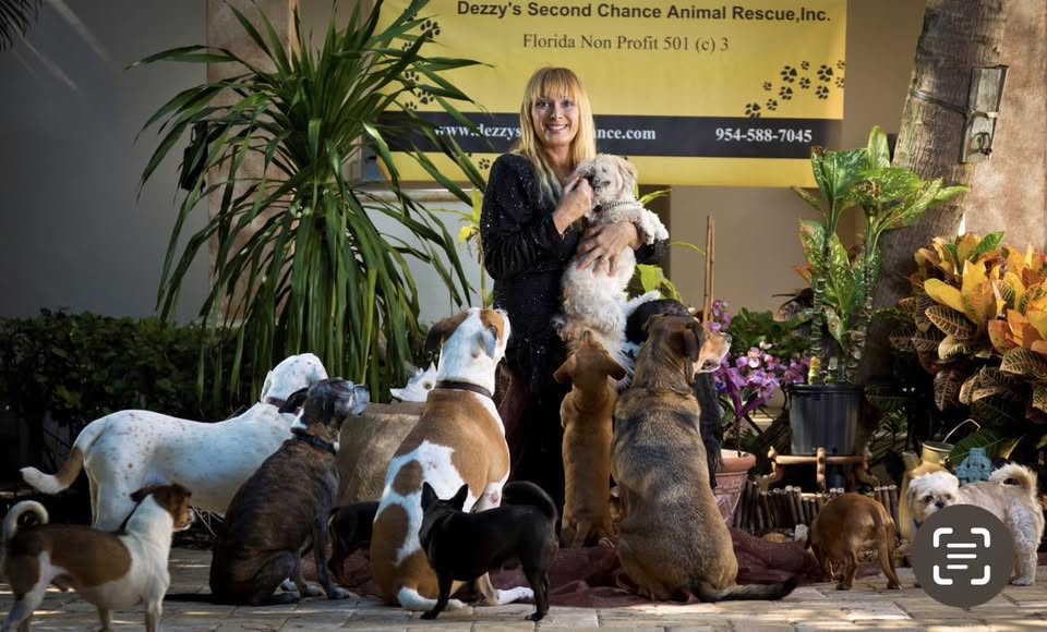 Rescue dog moment at community event
