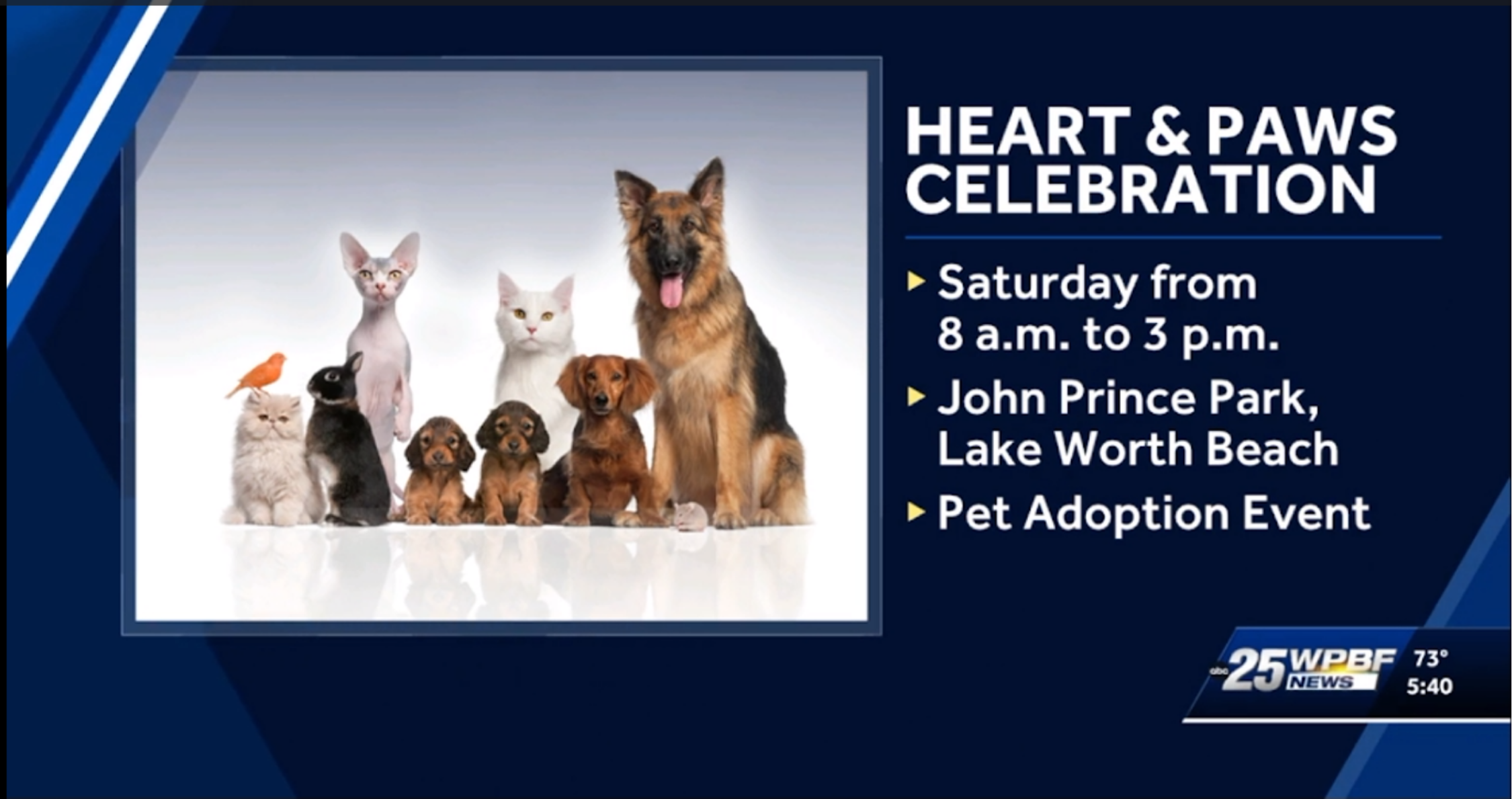 WPBF news video preview for Heart and Paws Celebration at John Prince Park